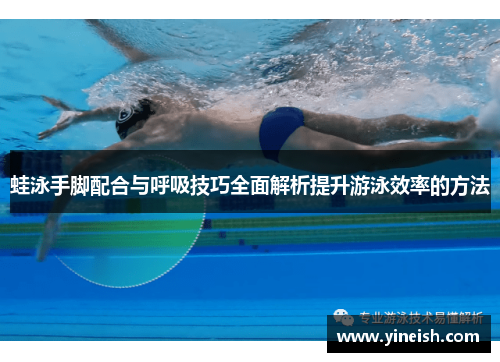蛙泳手脚配合与呼吸技巧全面解析提升游泳效率的方法